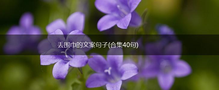 丢围巾的文案句子(合集40句),第1张