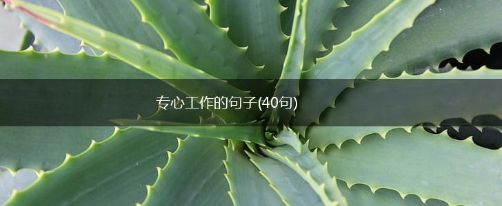 专心工作的句子(40句),第1张