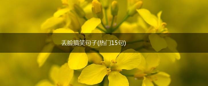 丢脸搞笑句子(热门15句),第1张