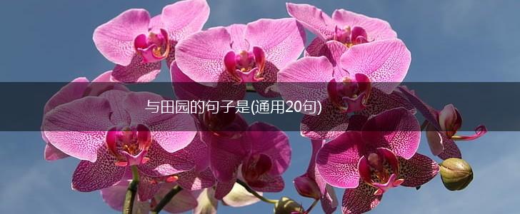 与田园的句子是(通用20句),第1张