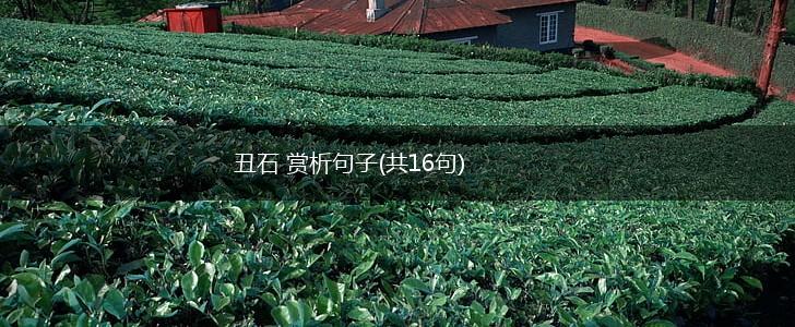 丑石 赏析句子(共16句),第1张