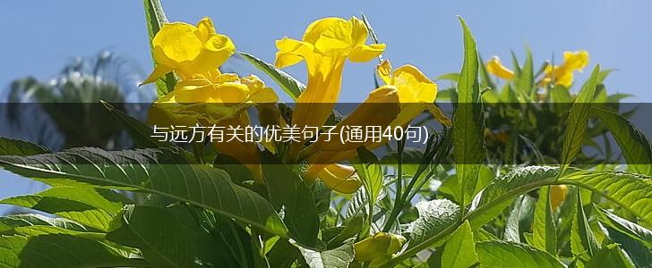 与远方有关的优美句子(通用40句),第1张