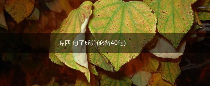 专四 句子成分(必备40句),第1张