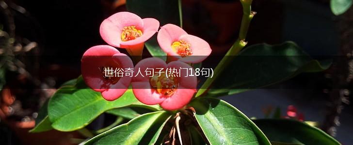 世俗奇人句子(热门18句),第1张