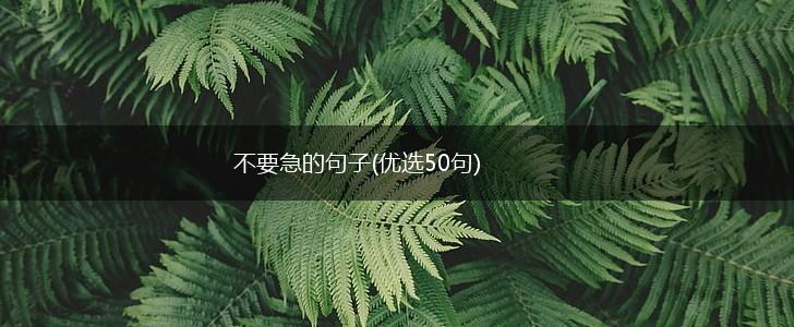 不要急的句子(优选50句),第1张 不要急的句子(优选50句),第1张