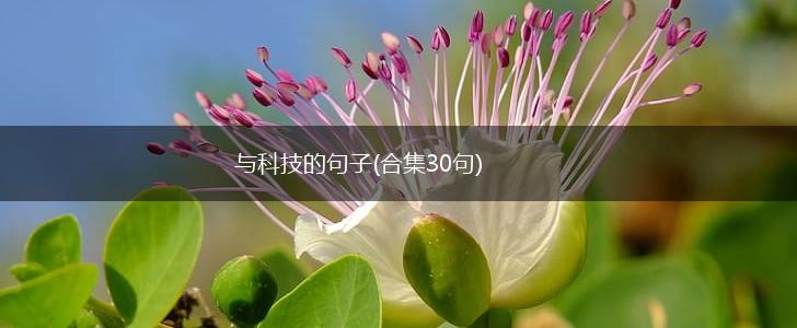 与科技的句子(合集30句),第1张