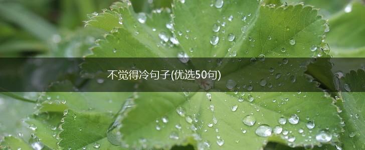 不觉得冷句子(优选50句),第1张