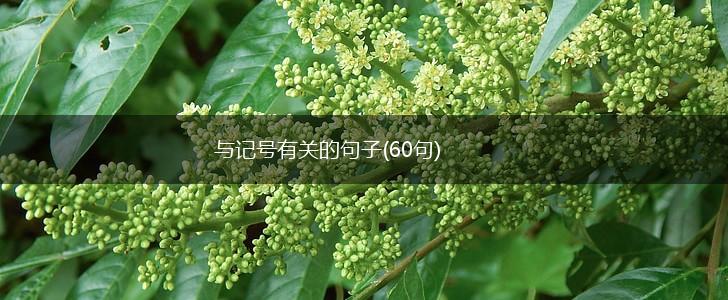 与记号有关的句子(60句),第1张