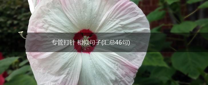 专管打针 相似句子(汇总46句),第1张