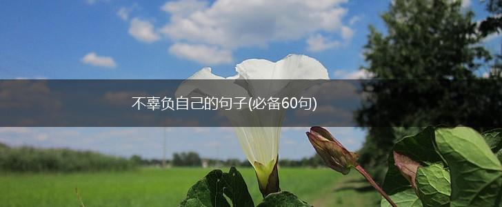 不辜负自己的句子(必备60句),第1张