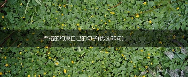 严格的约束自己的句子(优选60句),第1张