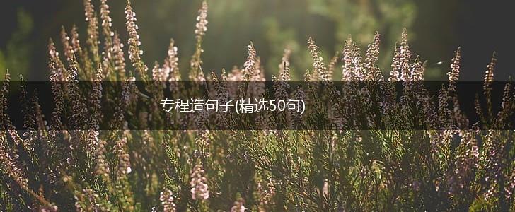 专程造句子(精选50句),第1张