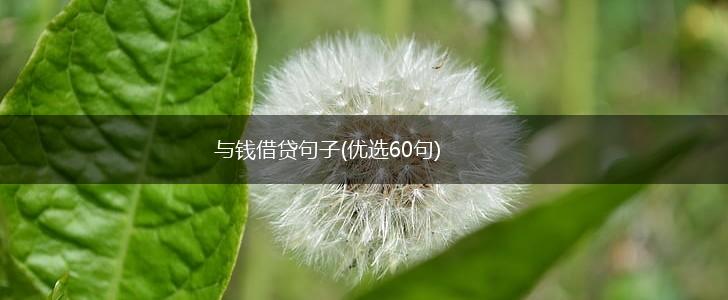 与钱借贷句子(优选60句),第1张