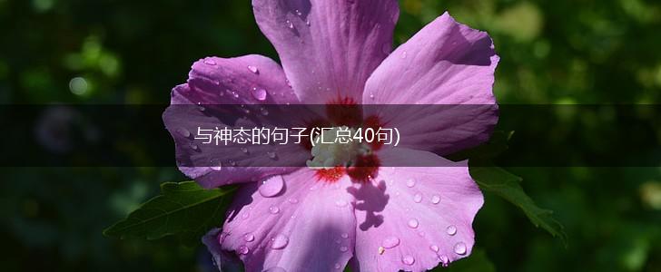 与神态的句子(汇总40句),第1张