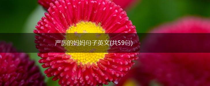 严厉的妈妈句子英文(共59句),第1张