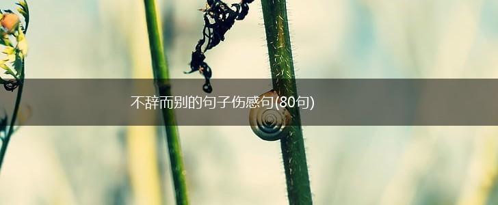 不辞而别的句子伤感句(80句),第1张