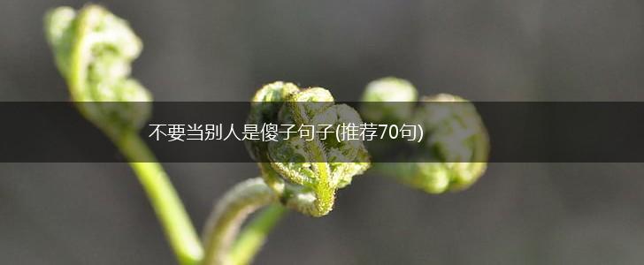 不要当别人是傻子句子(推荐70句),第1张