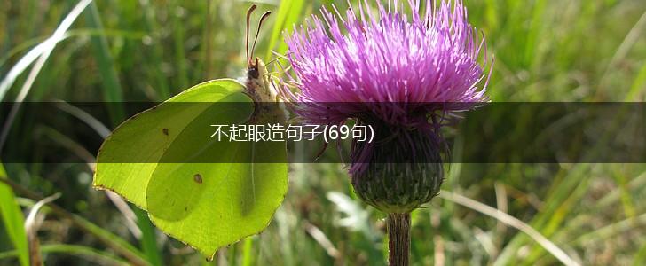 不起眼造句子(69句),第1张