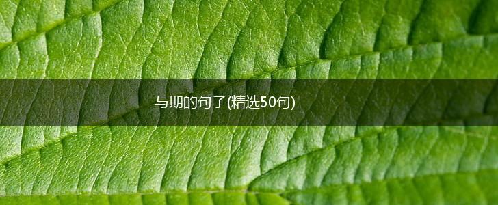 与期的句子(精选50句),第1张