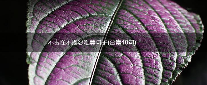 不责怪不抱怨唯美句子(合集40句),第1张