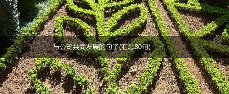 与公司共同发展的句子(汇总80句),第1张