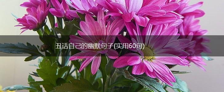 丑话自己的幽默句子(实用60句),第1张