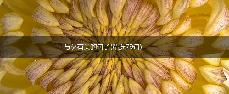 与夕有关的句子(精选79句),第1张