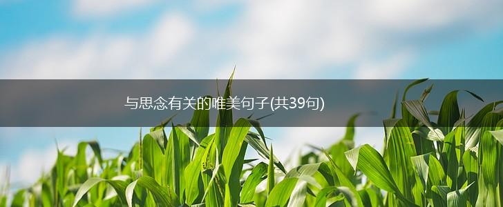 与思念有关的唯美句子(共39句),第1张