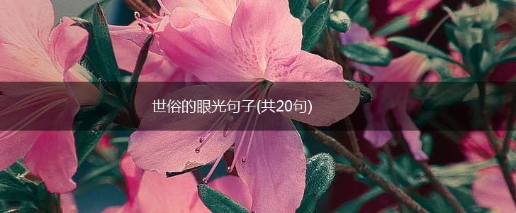 世俗的眼光句子(共20句),第1张