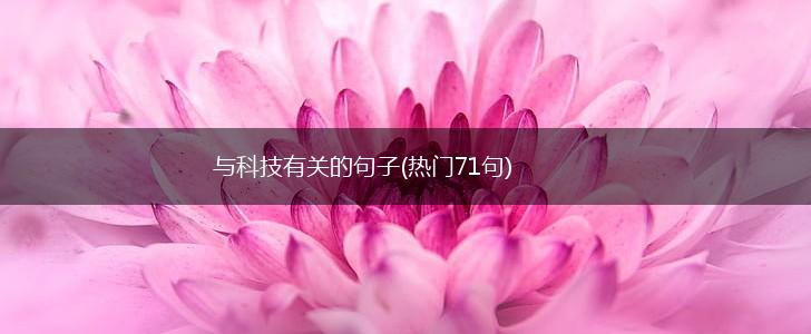 与科技有关的句子(热门71句),第1张