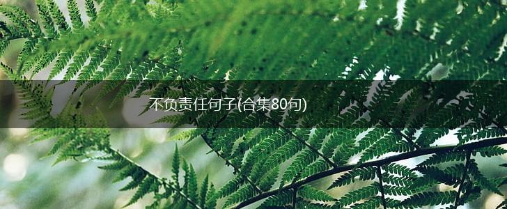 不负责任句子(合集80句),第1张