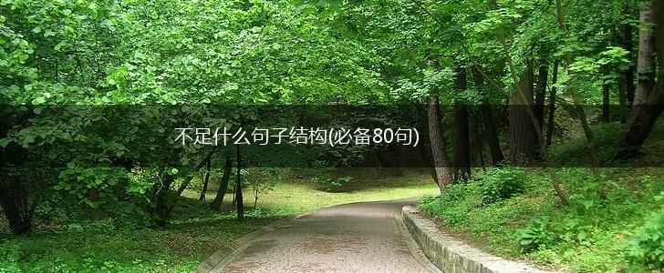 不足什么句子结构(必备80句),第1张