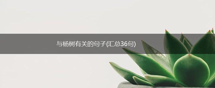与杨树有关的句子(汇总36句),第1张