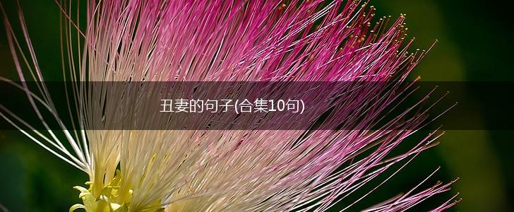 丑妻的句子(合集10句),第1张