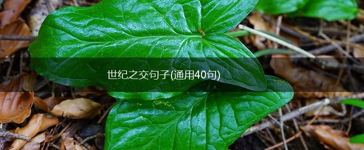 世纪之交句子(通用40句),第1张