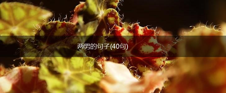 两男的句子(40句),第1张