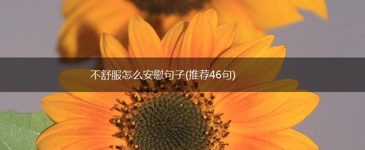 不舒服怎么安慰句子(推荐46句),第1张