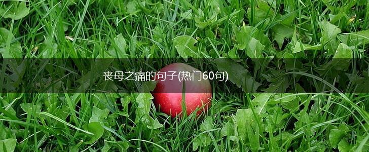 丧母之痛的句子(热门60句),第1张
