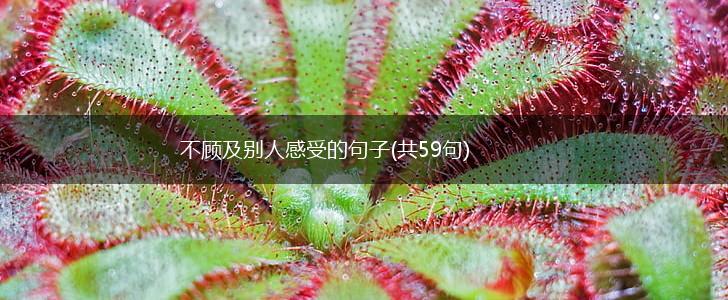 不顾及别人感受的句子(共59句),第1张