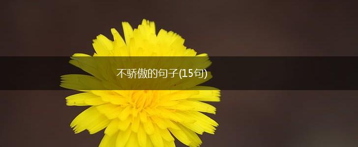不骄傲的句子(15句),第1张
