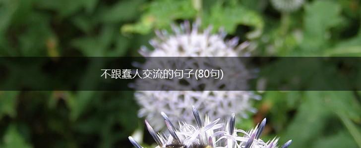 不跟蠢人交流的句子(80句),第1张