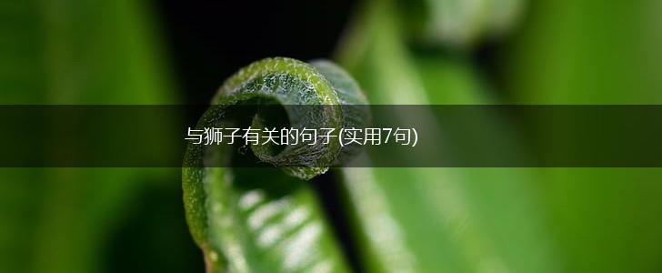 与狮子有关的句子(实用7句),第1张
