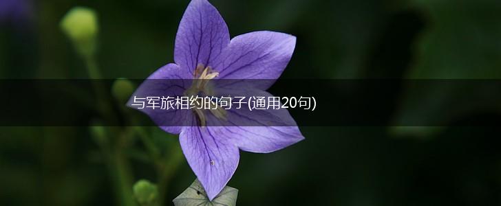 与军旅相约的句子(通用20句),第1张