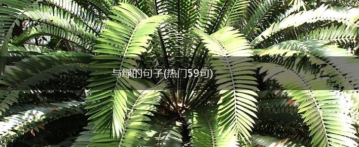 与绿的句子(热门59句),第1张