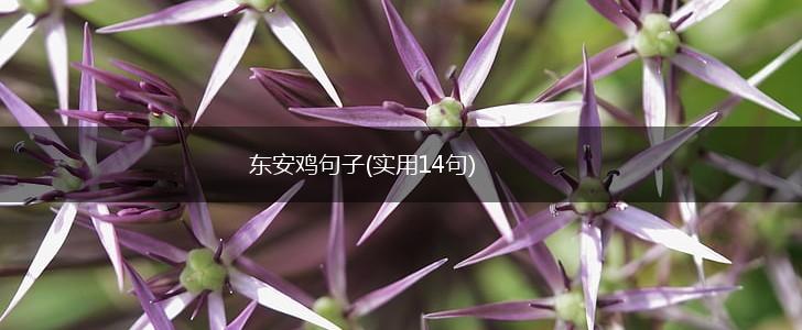 东安鸡句子(实用14句),第1张