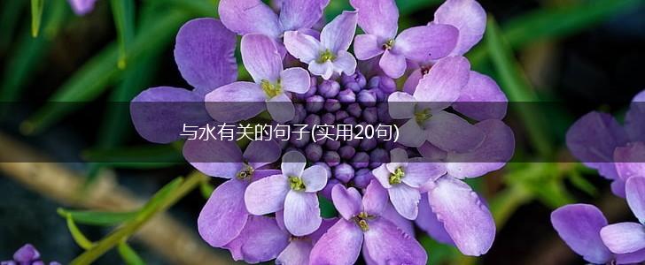 与水有关的句子(实用20句),第1张