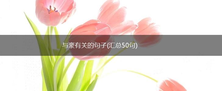 与豪有关的句子(汇总50句),第1张