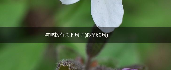与吃饭有关的句子(必备60句),第1张