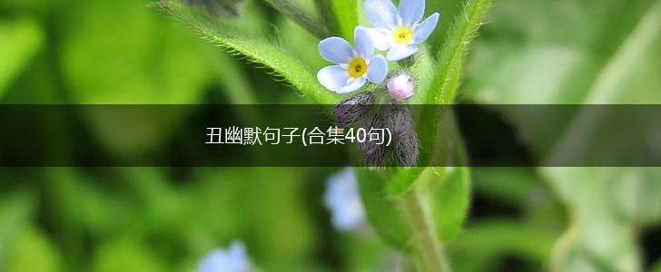 丑幽默句子(合集40句),第1张