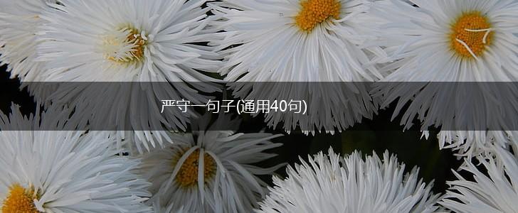 严守一句子(通用40句),第1张